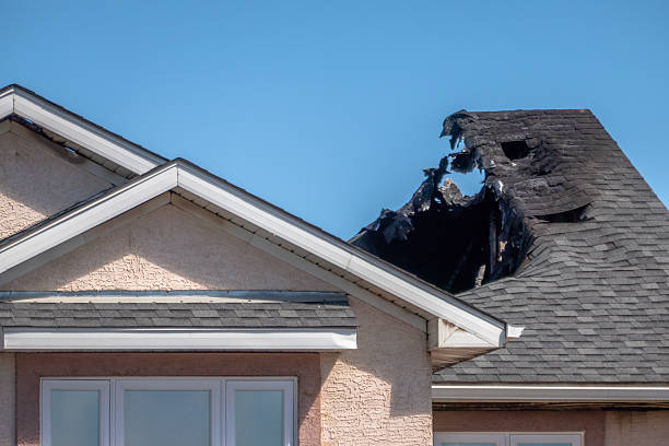 Top rated local Fire Damage Removal specialists in Newport, OH